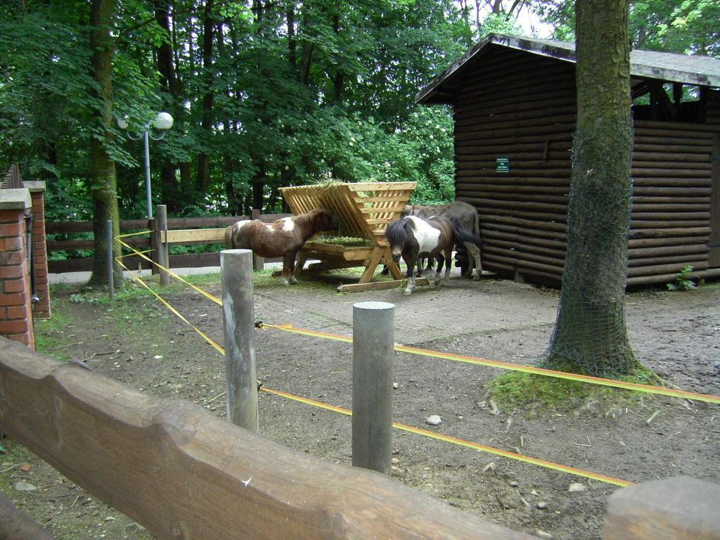 Rothers-Ferienwohnung Annaberg-Buchholz Exteriör bild